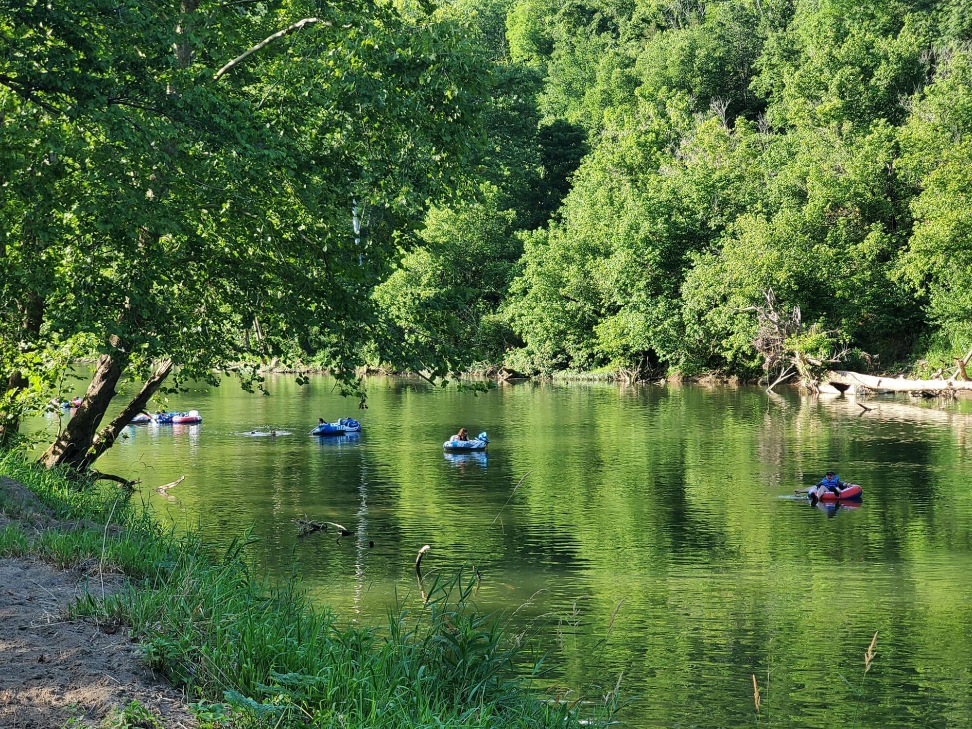 People relaxing and floating on the Clinch River.